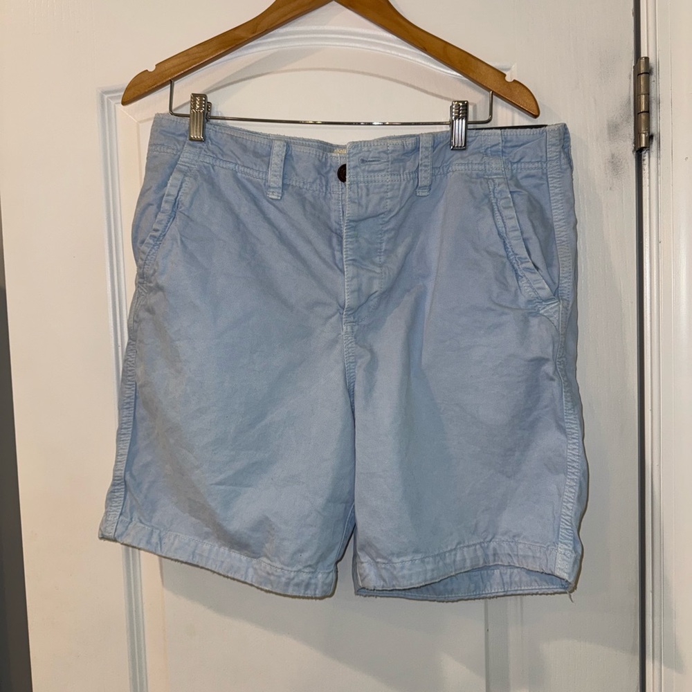 Abercrombie & Fitch Blue Flat Front Shorts
